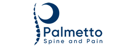Chiropractic Chapin SC Palmetto Spine and Pain